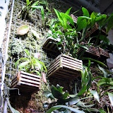 California Academy of Science
