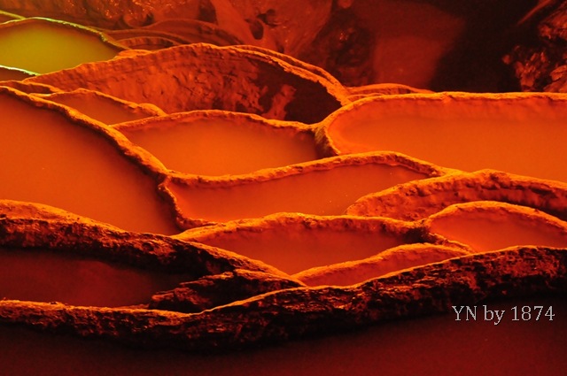 [DSC_5597%255B8%255D.jpg]