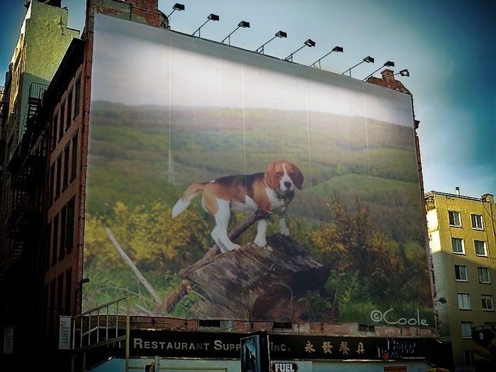 [FunPhotoBox190943s1hzuqjh%255B9%255D.jpg]