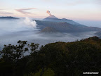 Bromo