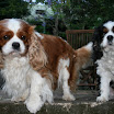 our boys 024.JPG