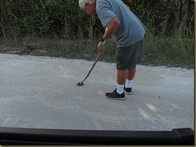 al trying to rescue snake...pgmy rattler?