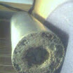 Picture 11.jpg