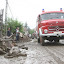 arviz2005_19.jpg