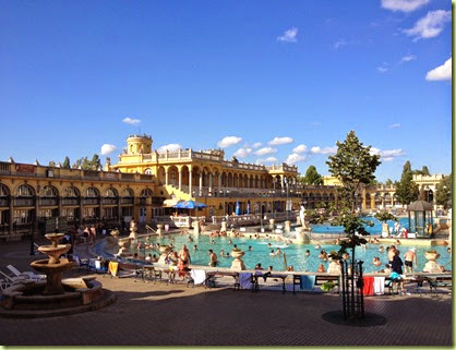 IMG_4516 IMG_4516