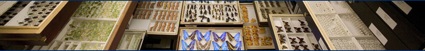 banner05.jpg Banner05