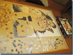 IMG_0553 IMG_0553