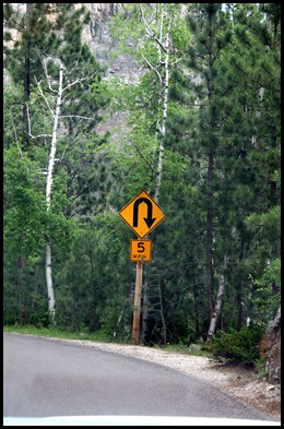 IMG_8818 IMG_8818