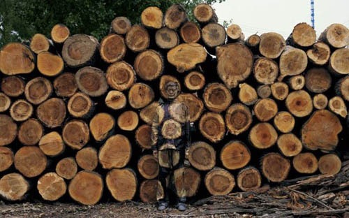 homem-invisivel-05 homem-invisivel -Liu Bolin - invisible man