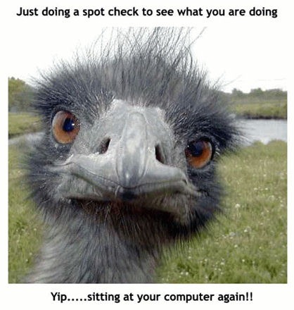 [ajustcheckingup%255B23%255D.jpg]