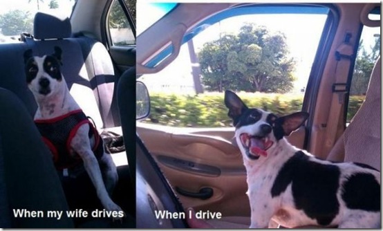 viral-picdump-pics-49155d