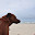 untitled album - 210.jpg