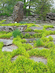 The grasses soften the edges of the stones and highlight the random pattern between them.
