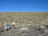 IMG_8761.JPG Photo