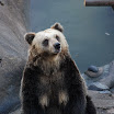 hokkaido_570.jpg