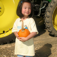 Pumpkin Patch