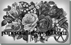 roses in wheelbarrel4-350