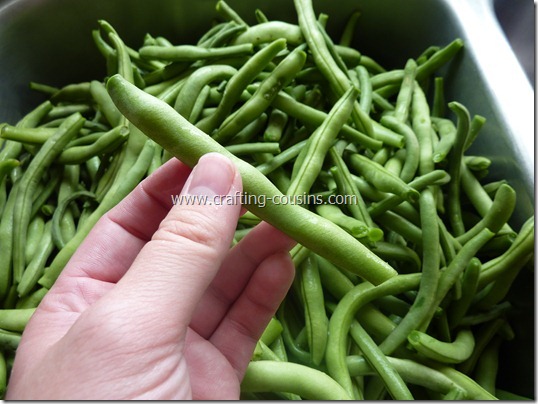 blanch and freeze green beans (3)