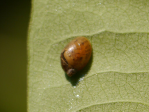 P1090370