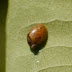 P1090370