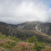 P4120106.JPG