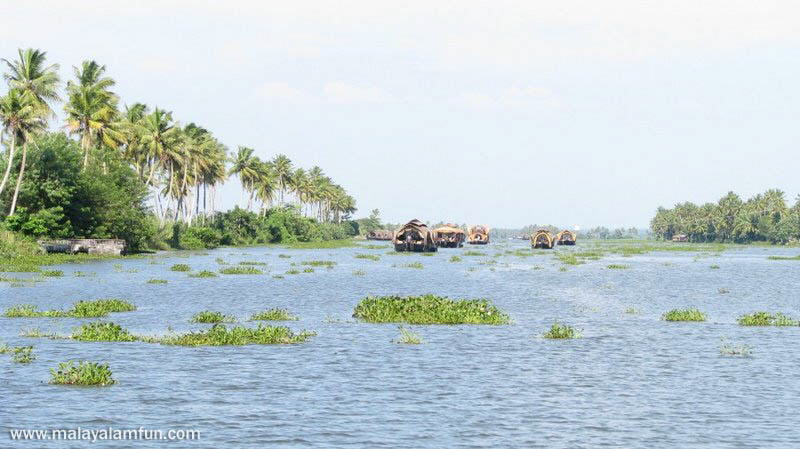 Oru Kuttanadan Yathra: The scenic view of Kerala(South India)