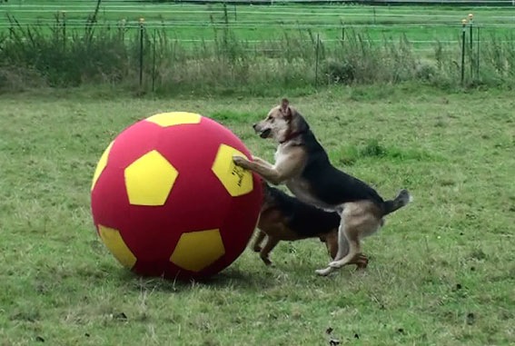 [20120905132849%25284%2529%255B2%255D.jpg]