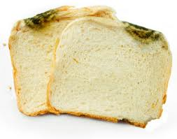 [image%255B4%255D.png]