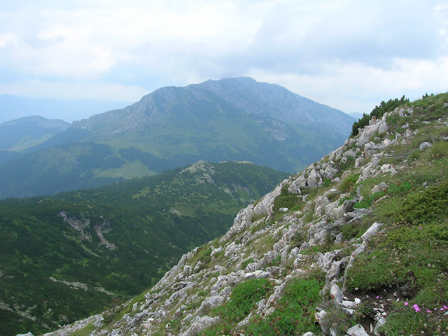 20100731%2520Ahmica%2520044.JPG