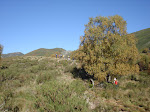 Veiga de El Palo