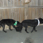 DSCN3573.jpg