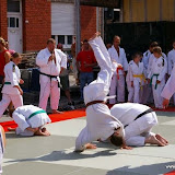 Demonstratie Feest Ename 2008