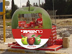 p1297959005(15).jpg