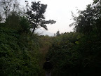 2011-11-20 13.29.46.jpg