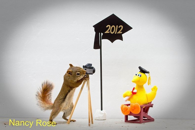 nancy-rose-squirrels-1 nancy-rose-squirrels-1