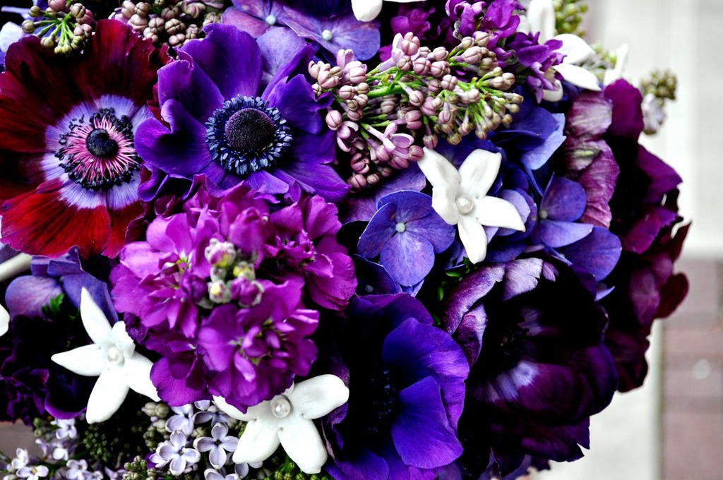 [DSC_0383--courtenay-lambert-florals4.jpg]