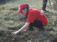 P1017078.JPG