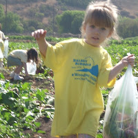 Underwood Family Farms