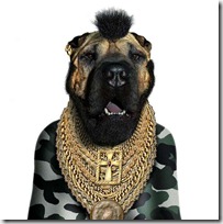 perros 4 perros 4