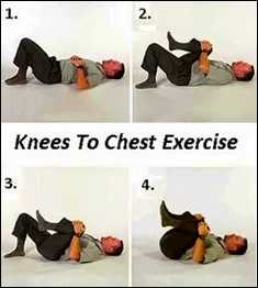home exercise for lower back pain