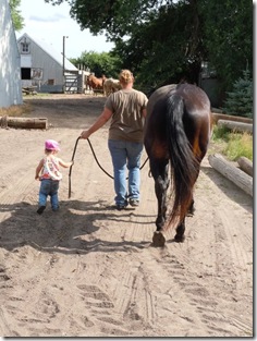 renee steph walking skoal