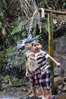 pinoyecofarm november_0006.JPG