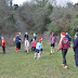 Boxing Day Handicap 2012