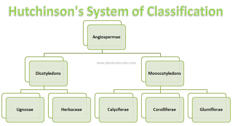 Hutchinson's System of Classification