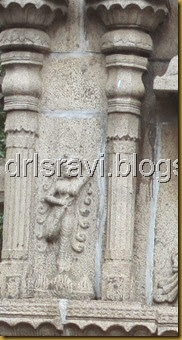 IMG_0139 IMG_0139