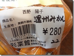 DSC03954 DSC03954