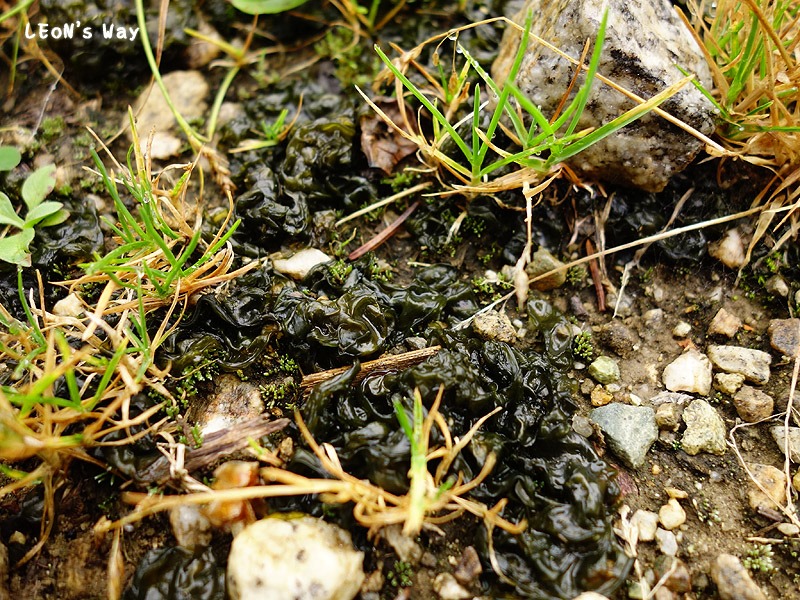 blog_0115 blog_0115