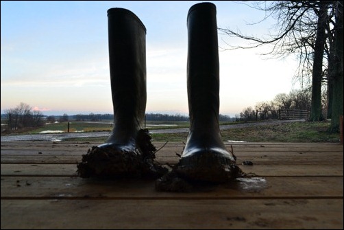 boots in the sunrise boots in the sunrise