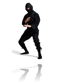 ninja