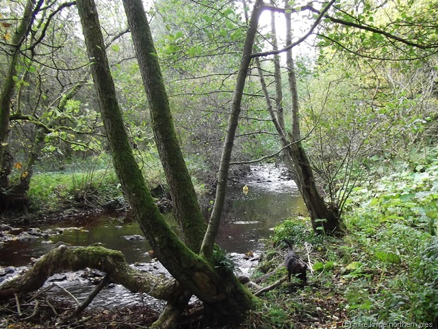 [deepdale%2520022%255B6%255D.jpg]